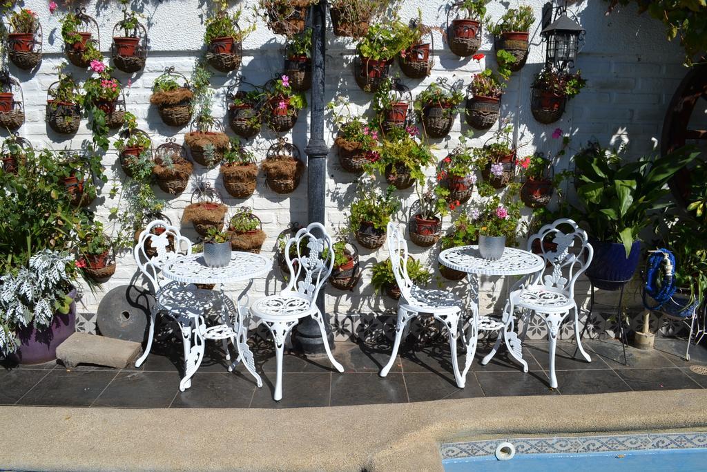 Hotel Vendimia Boutique サンタ・クルス エクステリア 写真